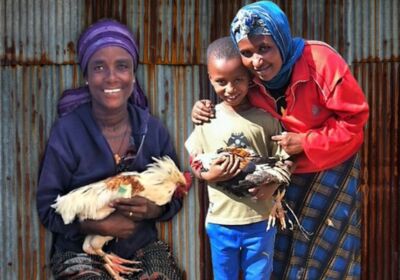 Christmas Dinner.jpg